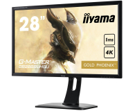 iiyama G-Master GB2888UHSU Gold Phoenix - 277343 - zdjęcie 3
